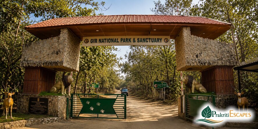 Top 5 Places to Visit Near Sasan Gir: Ultimate Saurashtra Extension Guide - visual