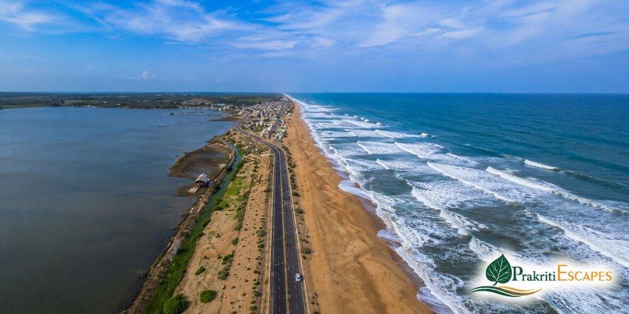 Top 5 Places to Visit Near Sasan Gir: Ultimate Saurashtra Extension Guide - visual